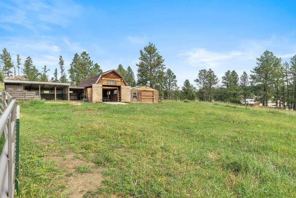 Papa'S Place On Willow Creek Custer Bagian luar foto