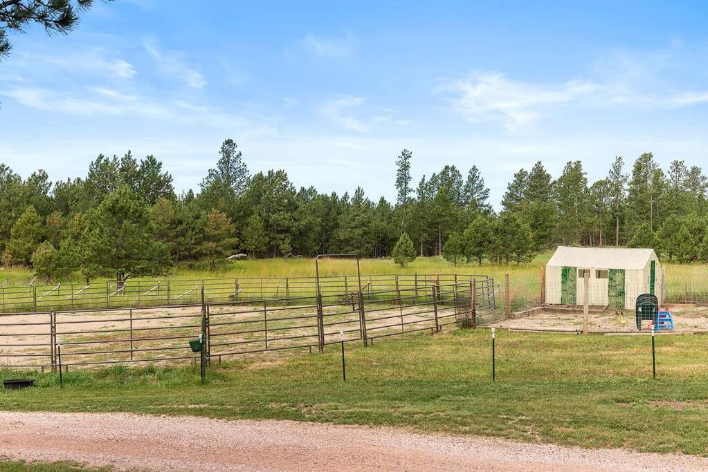 Papa'S Place On Willow Creek Custer Bagian luar foto